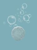 MENTABLUE • ANTI CASPA/GRASA SHAMPOO